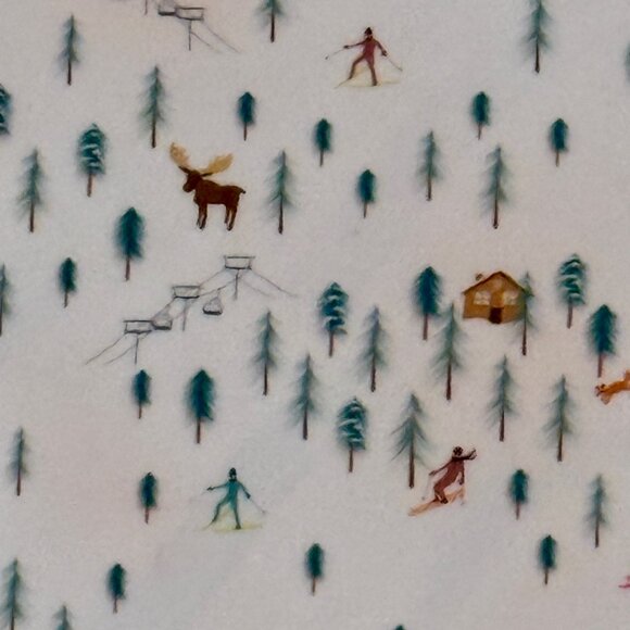 Iphone 14 Pro Max Cover $34 Retail - Alpine Skiing by CASELY - Picture 2 of 6